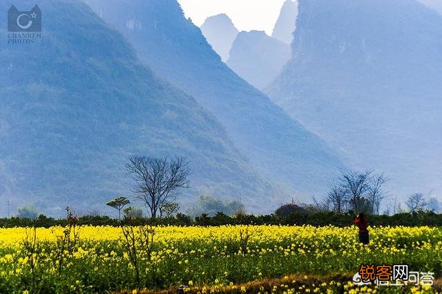 蜜月旅行适合去哪里？