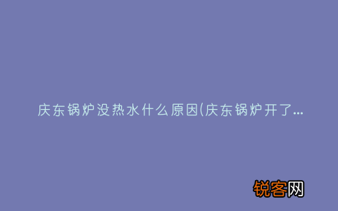 庆东锅炉开了但是地暖不暖气 庆东锅炉没热水什么原因