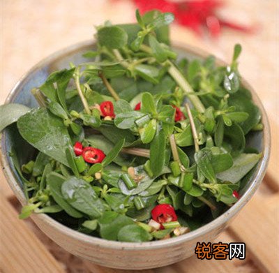 秋分节气：当心感冒、肠道疾病和皮肤过敏