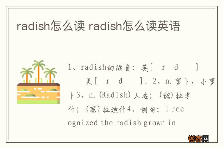 radish怎么读 radish怎么读英语