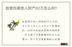 故意伤害他人财产62万怎么判？