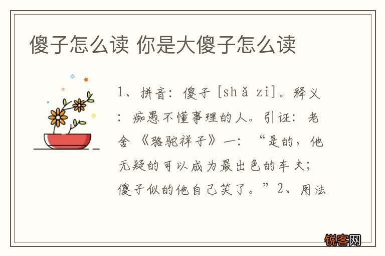 傻子怎么读 你是大傻子怎么读