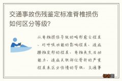 交通事故伤残鉴定标准脊椎损伤如何区分等级？