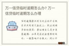 万一信贷临时逾期怎么办? 万一信贷临时逾期怎么办理