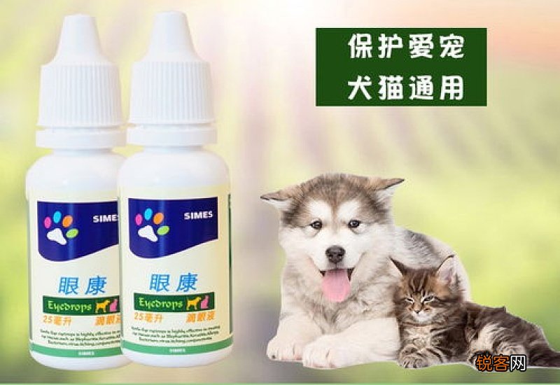 猫咪角膜炎用什么眼药水
