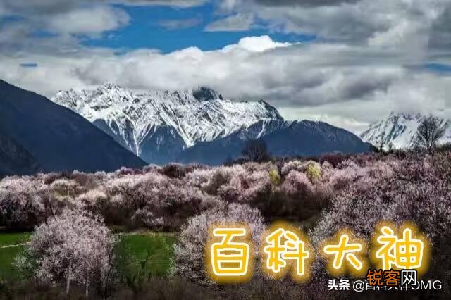 能不能推荐一下用过最好用的拖把？