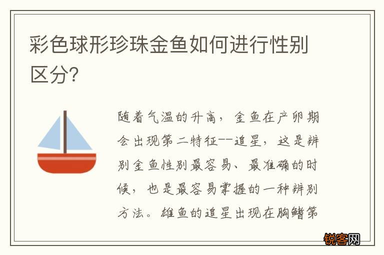 彩色球形珍珠金鱼如何进行性别区分？