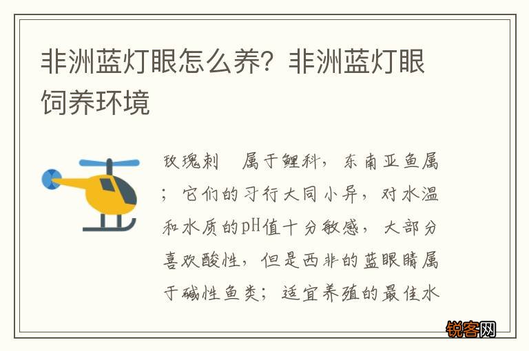 非洲蓝灯眼怎么养？非洲蓝灯眼饲养环境