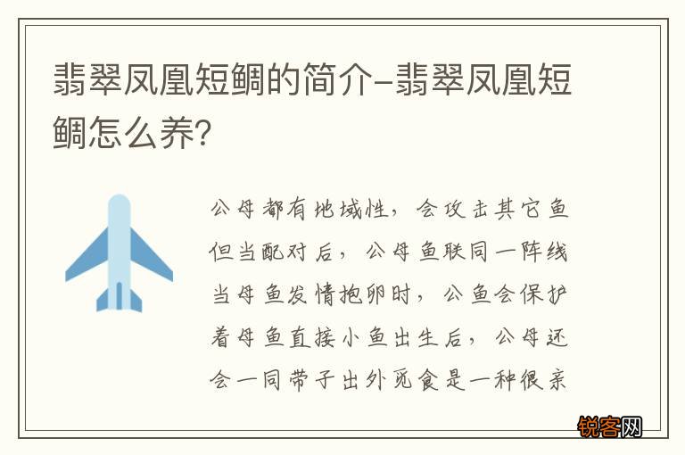 翡翠凤凰短鲷的简介-翡翠凤凰短鲷怎么养？
