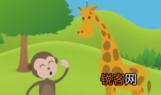游动物园经典句子 游动物园经典句子有哪些