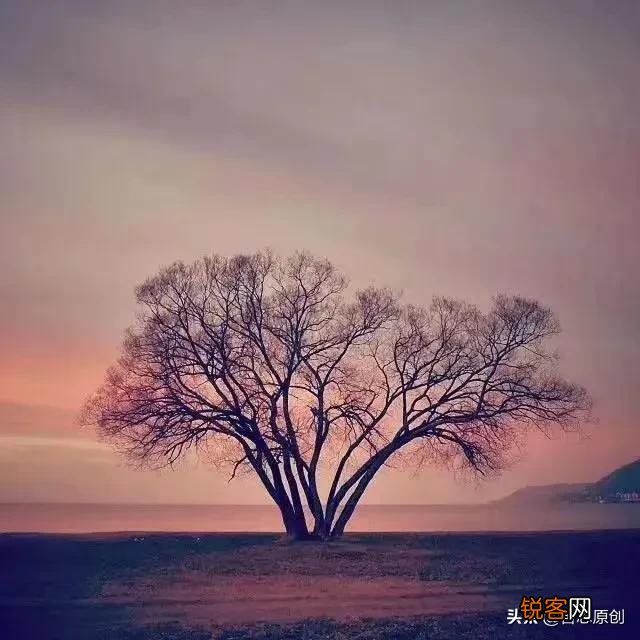 我们应该如何创业？