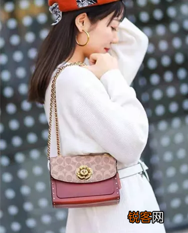 蔻驰哪款包包最经典 没有女生能抵挡它的“真香”