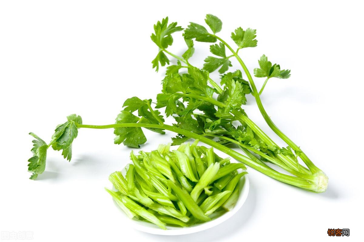 芹菜和什么菜搭配好吃 芹菜与西芹的区别