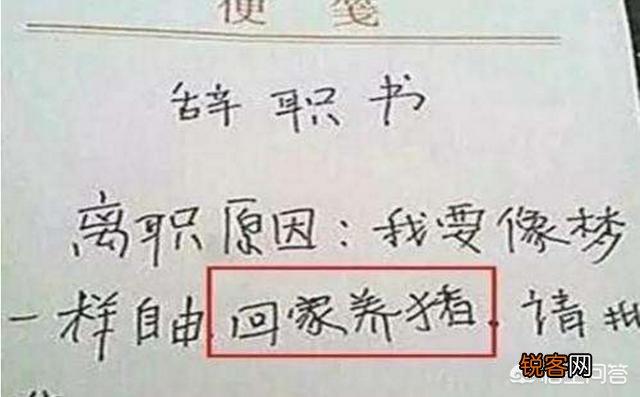 想离职,找什么理由比较合理又不会伤感情？