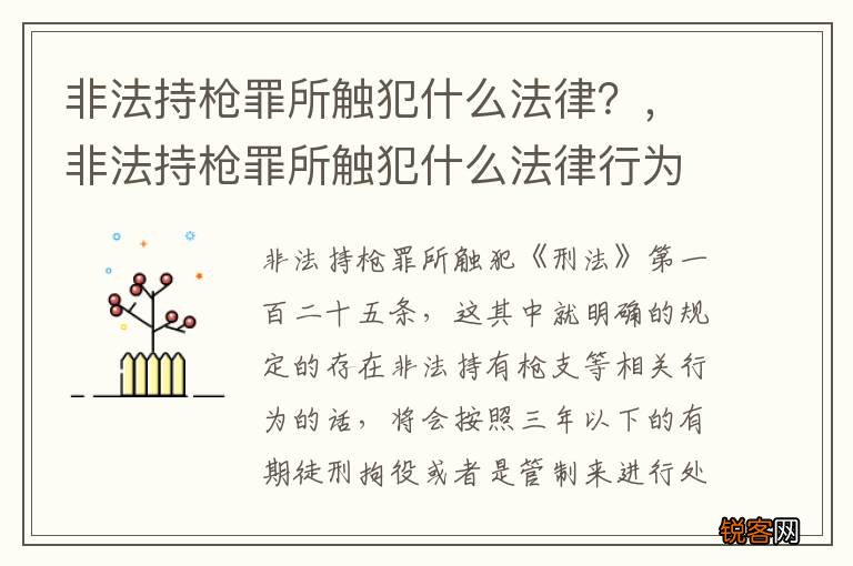 非法持枪罪所触犯什么法律？，非法持枪罪所触犯什么法律行为