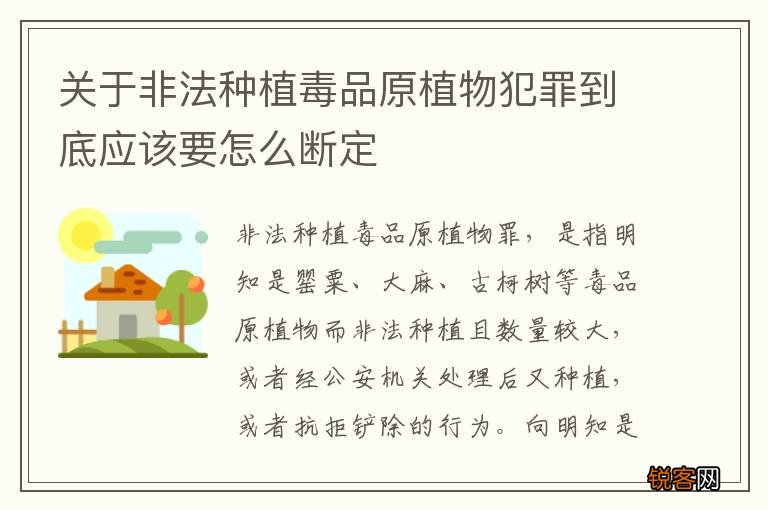 关于非法种植毒品原植物犯罪到底应该要怎么断定