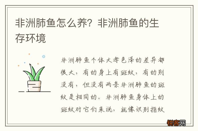非洲肺鱼怎么养?非洲肺鱼的生存环境