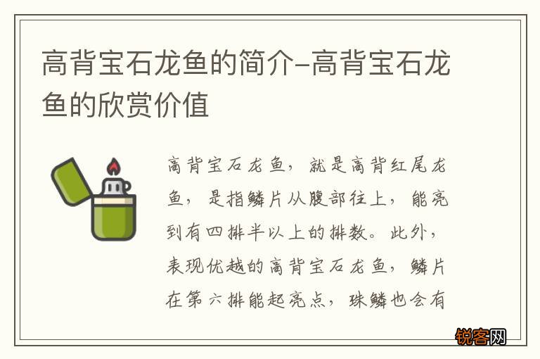 高背宝石龙鱼的简介-高背宝石龙鱼的欣赏价值