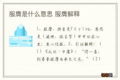 服膺是什么意思 服膺解释