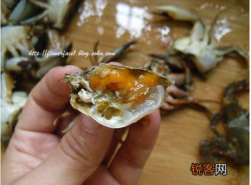 香煎螃蟹