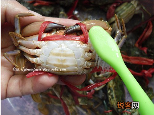香煎螃蟹