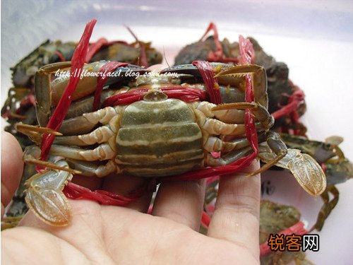 香煎螃蟹