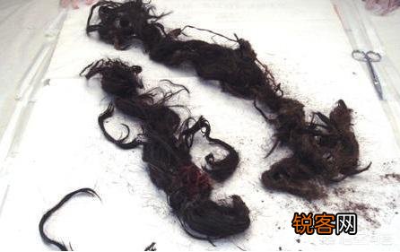1980年考古队打开光绪陵墓,为什么先是作呕,后是沸腾呢?