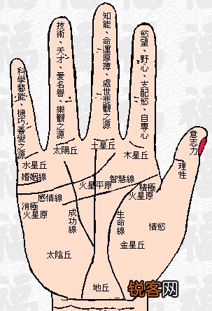 如何看手相？手相算命图解-看手相算命图解