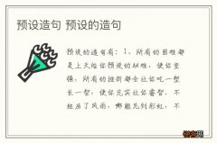 预设造句 预设的造句