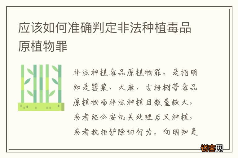 应该如何准确判定非法种植毒品原植物罪