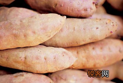 秋季健康四大食品