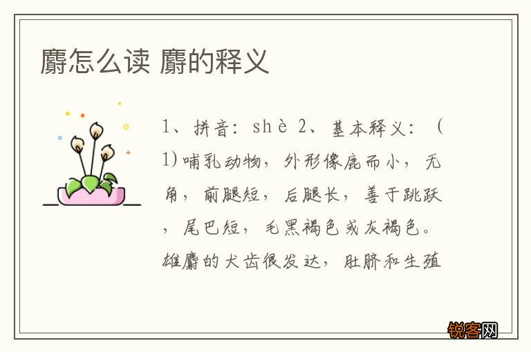 麝怎么读 麝的释义