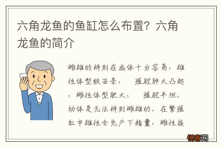 六角龙鱼的鱼缸怎么布置？六角龙鱼的简介