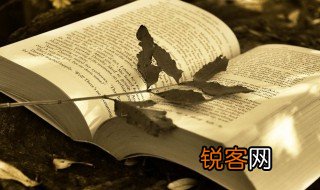 辛巳是什么意思 辛巳解释