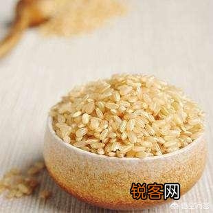 糙米如何与食疗养生结合?