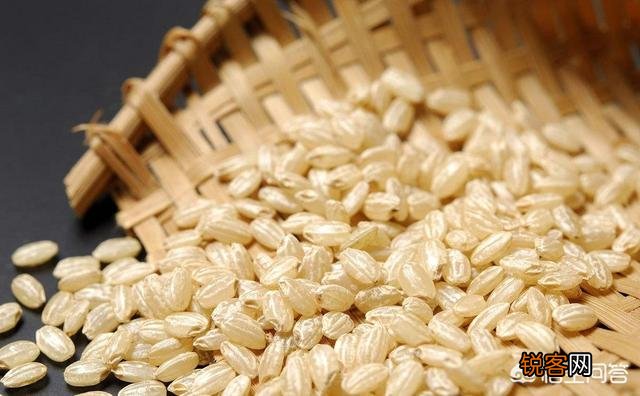 糙米如何与食疗养生结合?