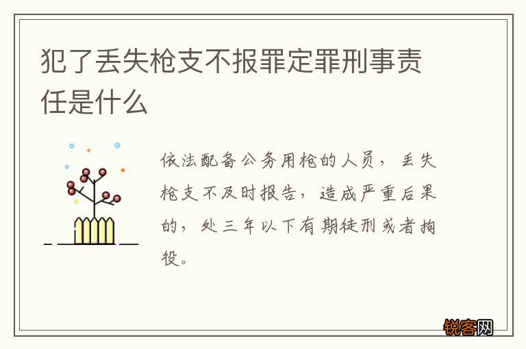 犯了丢失枪支不报罪定罪刑事责任是什么