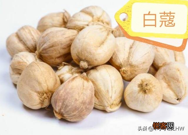 四川卤水中的老蔻、草蔻、红蔻、白蔻、豆蔻、肉蔻等各有什么特性？怎么用？