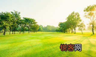 关于绿的诗句 关于绿的诗句精选