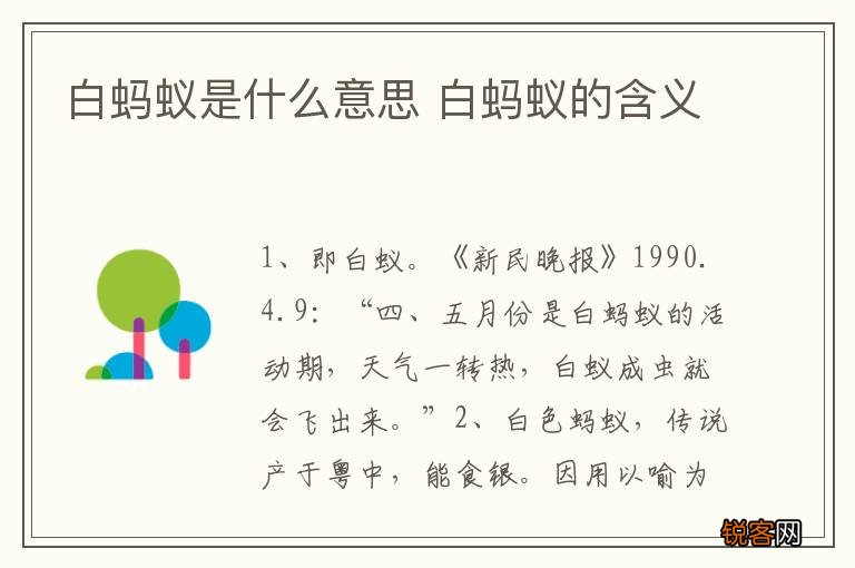 白蚂蚁是什么意思 白蚂蚁的含义