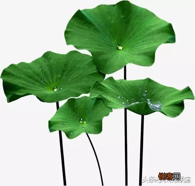 该怎么去维持一段失败的婚姻？当你怎么做他也不满足的时候,应该怎么办？