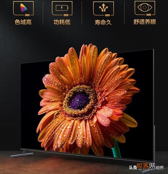 98寸大屏幕电视机选择什么牌子的好啊？