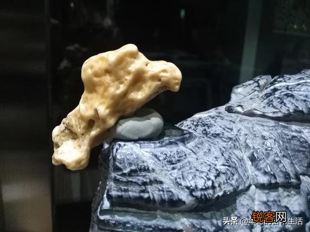 对于现在有些直播人没有任何才艺,直播就有上万人观看这件事你怎么看？