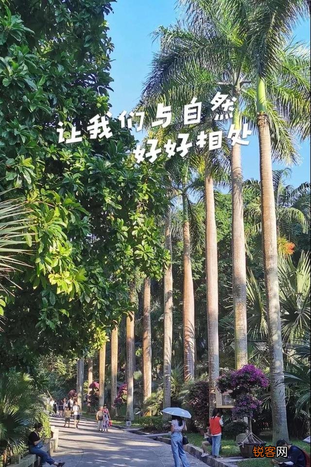 厦门当选最宜居城市,位列第一名,为什么？