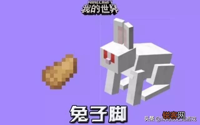 我的世界什么物品最难获得？