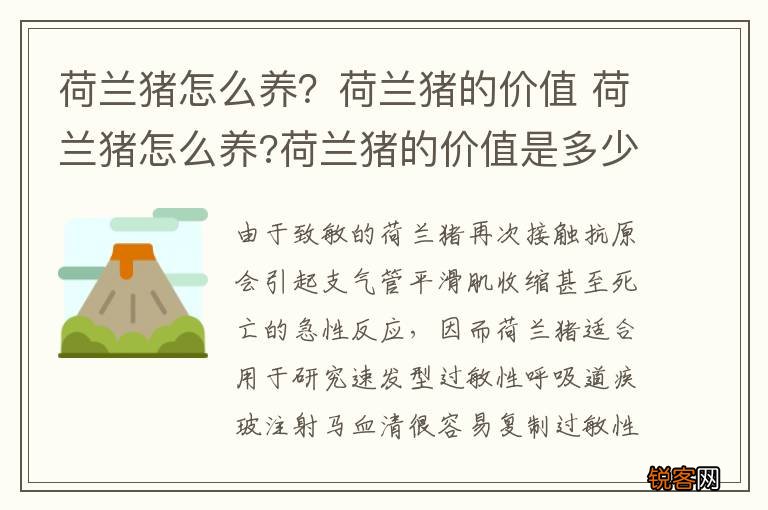 荷兰猪怎么养？荷兰猪的价值 荷兰猪怎么养?荷兰猪的价值是多少