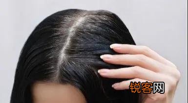 头发非常毛燥怎么办,哪种洗护好用？