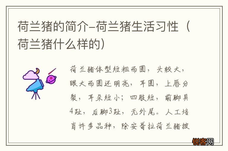 荷兰猪什么样的 荷兰猪的简介-荷兰猪生活习性