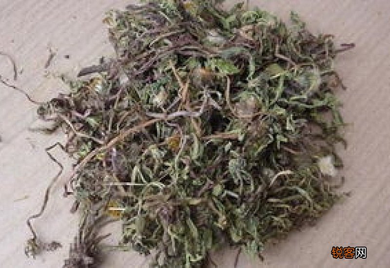 芝草泡水喝的功效作用 芝草泡水喝的功效作用是什么