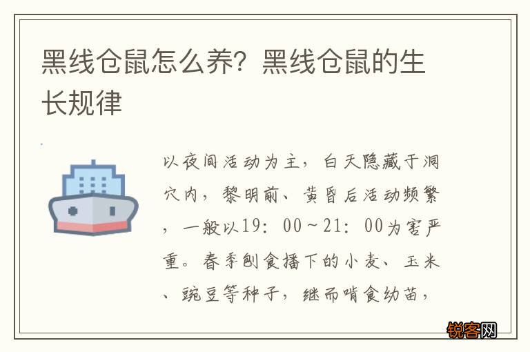 黑线仓鼠怎么养？黑线仓鼠的生长规律